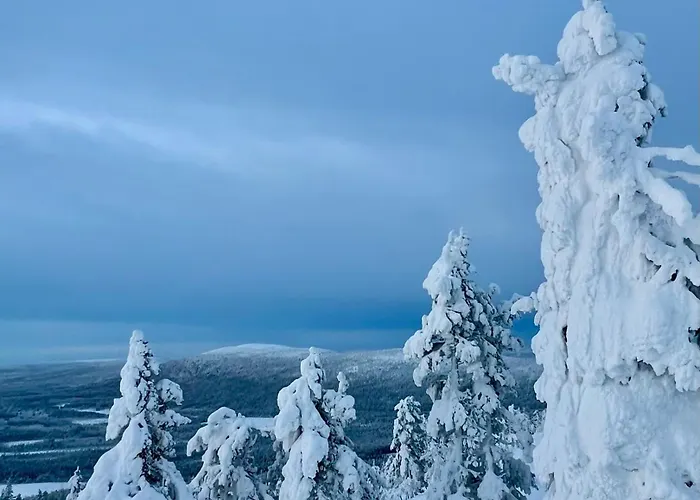 Stone 1 * רובניימי